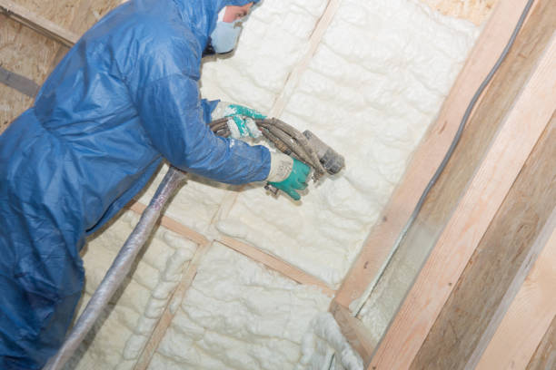 Types of Insulation We Offer in Quitman, TX